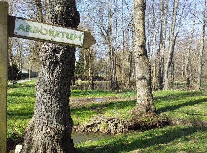 Arboretum du Bois de la Vierge, Vendresse, France, France
